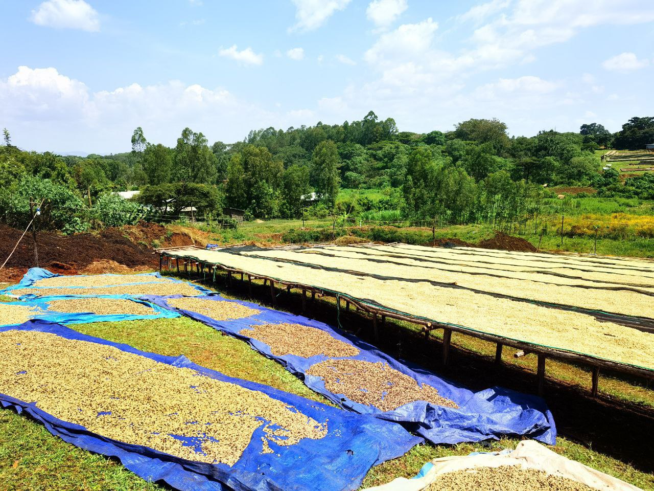 Sidamo Coffee Region